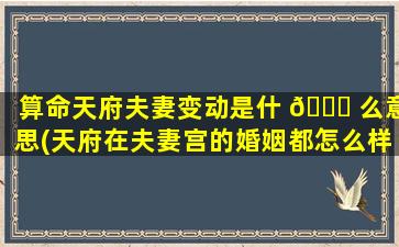 算命天府夫妻变动是什 🐅 么意思(天府在夫妻宫的婚姻都怎么样 🐡 )